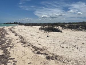 Se vende terreno frente al mar de Chuburná Puerto, Yucatán