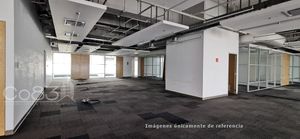 Renta  - Oficina Plug &amp; Play - Corporativo Samara  - 1270m2  - Piso 5A