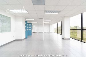 Renta - Oficina - Anillo Periférico Sur - 600 m2 - Piso 7