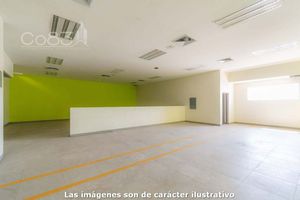 Renta - Local - Plaza del Mueble - 500 m2 - Planta Baja