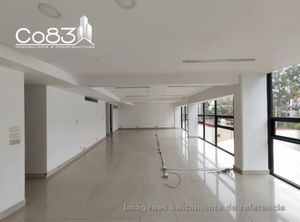 Renta - Oficina - Concepción Beistegui - 300 m2 - Piso 6