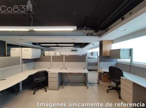 Renta - Oficina Amueblada- Insurgentes - 303 m2 - Piso 8