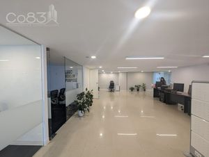 Renta - Oficina - Masaryk - 305m2 - Piso 11