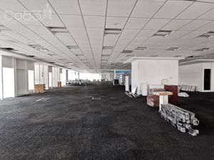 Renta - Oficina - Corporativo CEO - 1,430 m2 - Piso 11