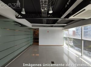 Renta - Oficina Amueblada- Insurgentes - 303 m2 - Piso 8