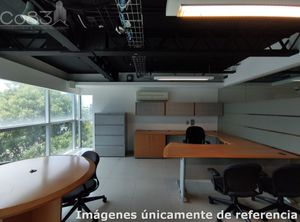 Renta - Oficina Amueblada- Insurgentes - 674 m2 - Piso 7