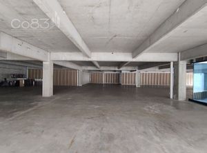 Renta - Local comercial - Corporativo Insurgentes - 516 m2 - PB