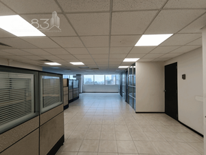 Renta - Oficina - Av  Constituyentes - 300 m2 - Piso 5