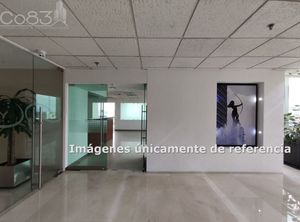 Renta - Oficina  - Torre Jade - 552m2  - Piso 3