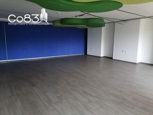 Renta - Oficina - Mariano Escobedo - 640 m2 - Piso 4