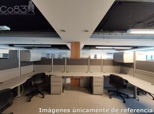 Renta - Oficina Amueblada- Insurgentes - 303 m2 - Piso 8