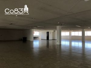 Renta - Oficina - Edificio Rafael - 1,300 m2 - Piso 9