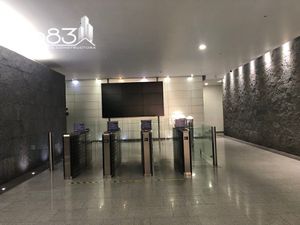 Renta - Oficina - Masaryk - 473 m2 - Piso PH2