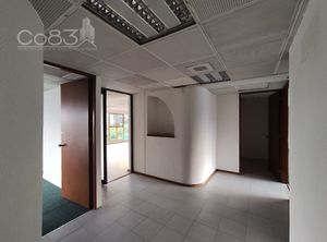 Renta - Oficina - Insurgentes Sur - 365 m2 - Piso 5