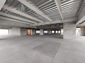 Renta - Oficina - Yama Insurgentes Reforma - 100 m2 - Piso 11