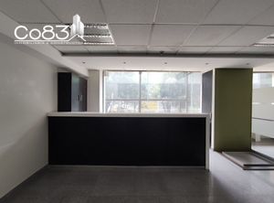 Renta - Oficina - Insurgentes Sur - 483 m2 - Mezzanine