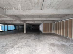 Renta - Local comercial - Corporativo Insurgentes - 516 m2 - PB