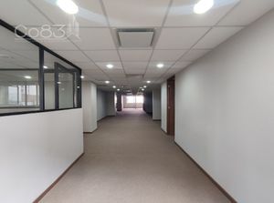 Renta - Oficina - Leibnitz - 518 m2 - Piso 6
