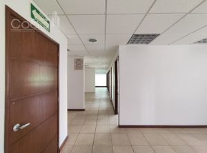 Renta - Oficina - Hamburgo - 185 m2 - Piso 3