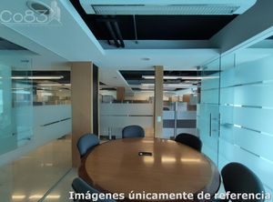 Renta - Oficina Amueblada- Insurgentes - 674 m2 - Piso 7