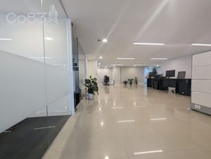 Renta - Oficina - Masaryk - 305m2 - Piso 11