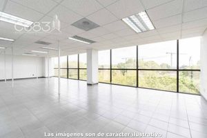Renta - Oficina - Anillo Periférico Sur - 600 m2 - Piso 7