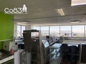 Renta - Oficina - Edificio Rafael - 974 m2 - Piso 6