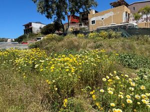 VENTA DE TERRENO EN ROSARITO COL SANTA LUCIA