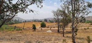 VENTA TERRENO EN VALLE REDONDO