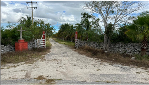 Venta Rancho Ganadero Panabá Yucatan.