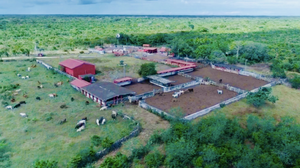 Venta Rancho Ganadero Panabá Yucatan.