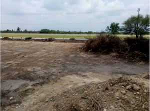 Terreno industrial en renta en carretera Laredo en Ciénega de Flores