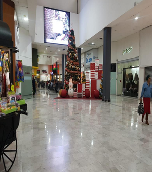 Local Comercial en Renta en Eugenio Garza Sada en Monterrey