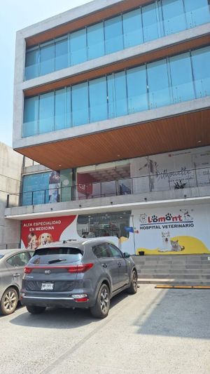 Local comercial en renta en Cumbres 2o Sector en Monterrey