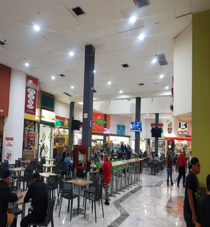 Local Comercial en Renta en Eugenio Garza Sada en Monterrey