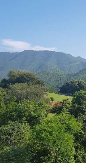 Terreno en Venta en Carretera Nacional en Monterrey