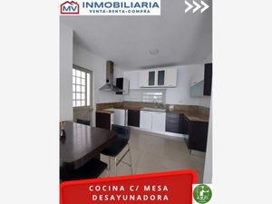 Casa en Renta en Puerta Grande Centro