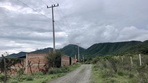 Lote Cisne Chapala Haciendas