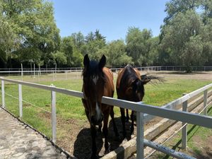 Rancho en Venta en Santiago Tlautla, Hidalgo