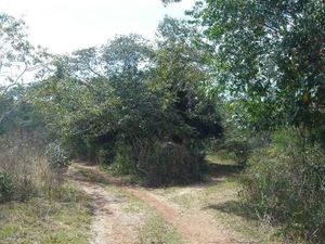 Terreno en Venta zona  CHICHEN ITZA, Mérida Yucatán