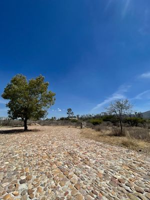 Venta de terreno en Saltillo de Guadalupe, San Miguel de Allende