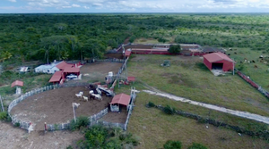 Oportunidad de adquirir Rancho Ganadero en Panabá Yucatan.