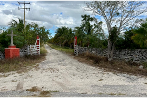 Oportunidad de adquirir Rancho Ganadero en Panabá Yucatan.