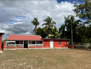 Oportunidad de adquirir Rancho Ganadero en Panabá Yucatan.