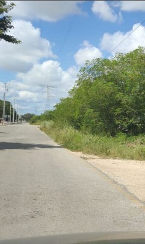 SE VENDE TERRENO DE 11,287 M2 UBICADO MUY CERCA DEL PERIFERICO