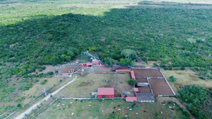 Oportunidad de adquirir Rancho Ganadero en Panabá Yucatan.