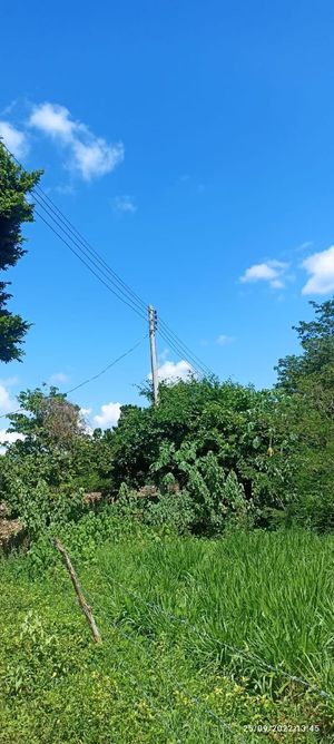 Excelente terreno de oportunidad en Tekit Yucatán