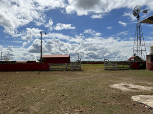 Oportunidad de adquirir Rancho Ganadero en Panabá Yucatan.