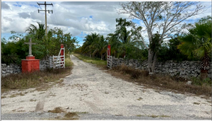 Oportunidad de adquirir Rancho Ganadero en Panabá Yucatan.