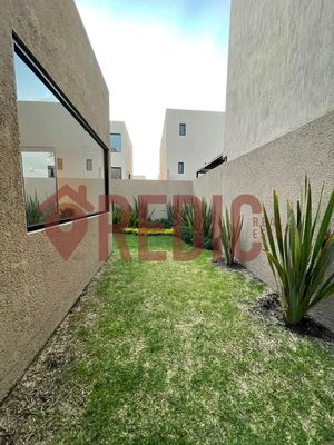 Departamento con Inquilino en P.B. de 2 hab. en Altos Juriquilla